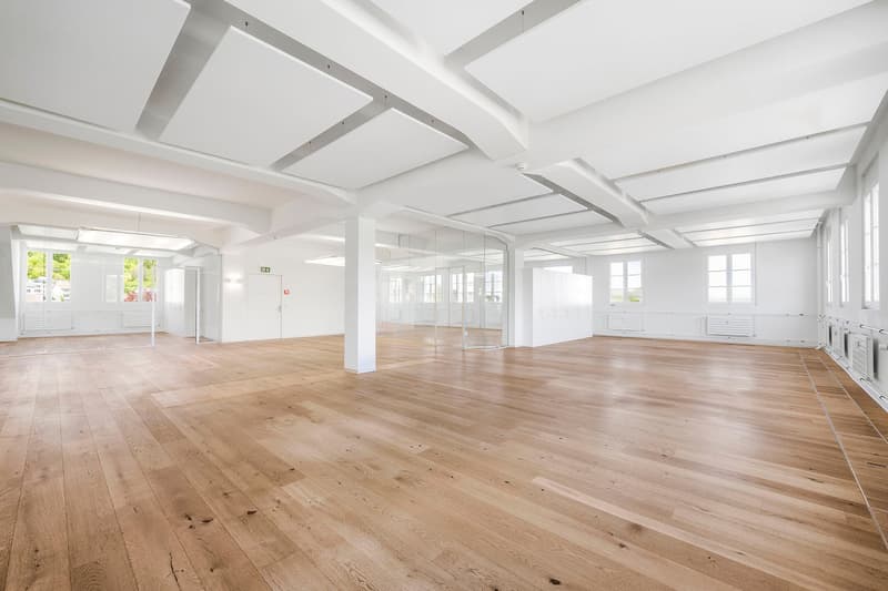 Espaces de bureaux prêts à être occupés, de haute qualité, dans la zone USEGO d'Olten (13)