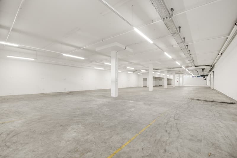 Efficient logistics hub with complete infrastructure – spaces from 420 to 2,300 m² (14)