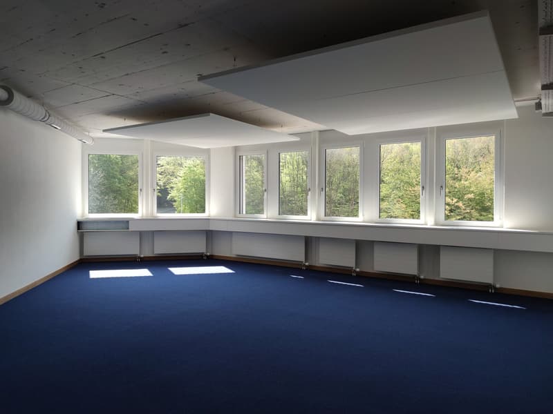 large open room with windows, blue carpet, white walls, white benches under windows, heating units