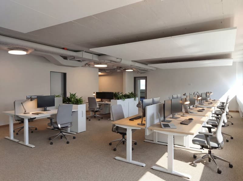 Espace de bureau moderne avec vue sur le lac et balcon – prêt à être occupé (3)