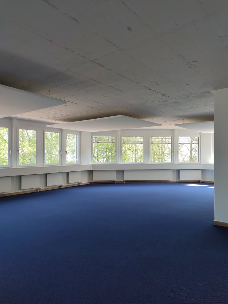 large open room, blue carpet, wide windows, white walls, white ceiling