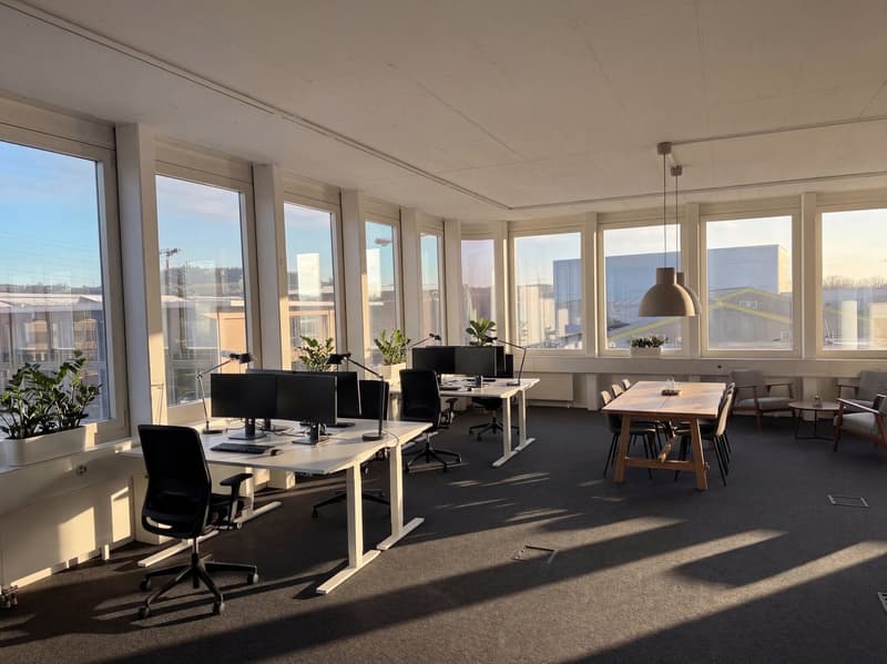modern office space with large windows, desks, chairs, plants, and a wooden table