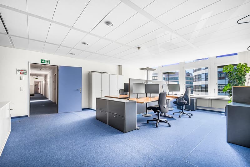modern office space, blue carpet, white walls, large windows, office desks, computer monitors, office chairs, cabinets, hallway