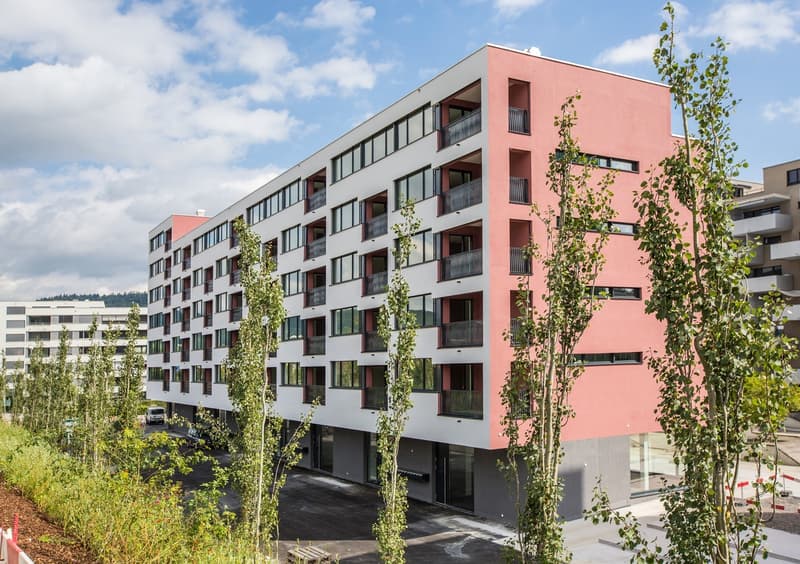 Moderne und grosszügige 3.5-Zimmerwohnung (1)