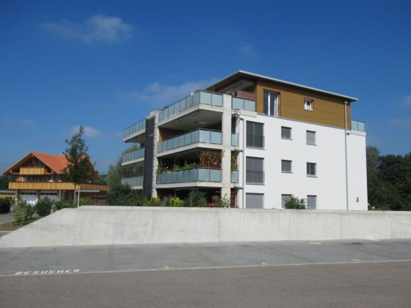 Helle, moderne Wohnung mit grossem Balkon (1)
