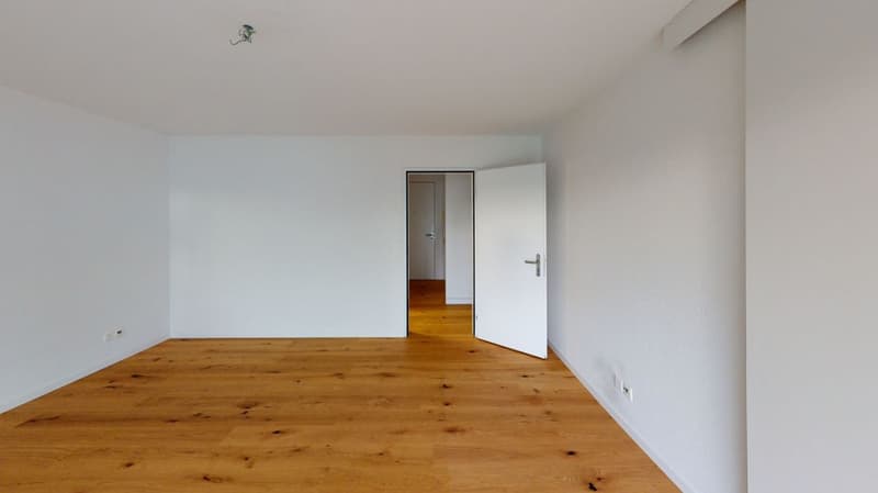 Appartamento attraente con parquet in legno massiccio e ampio balcone (7)