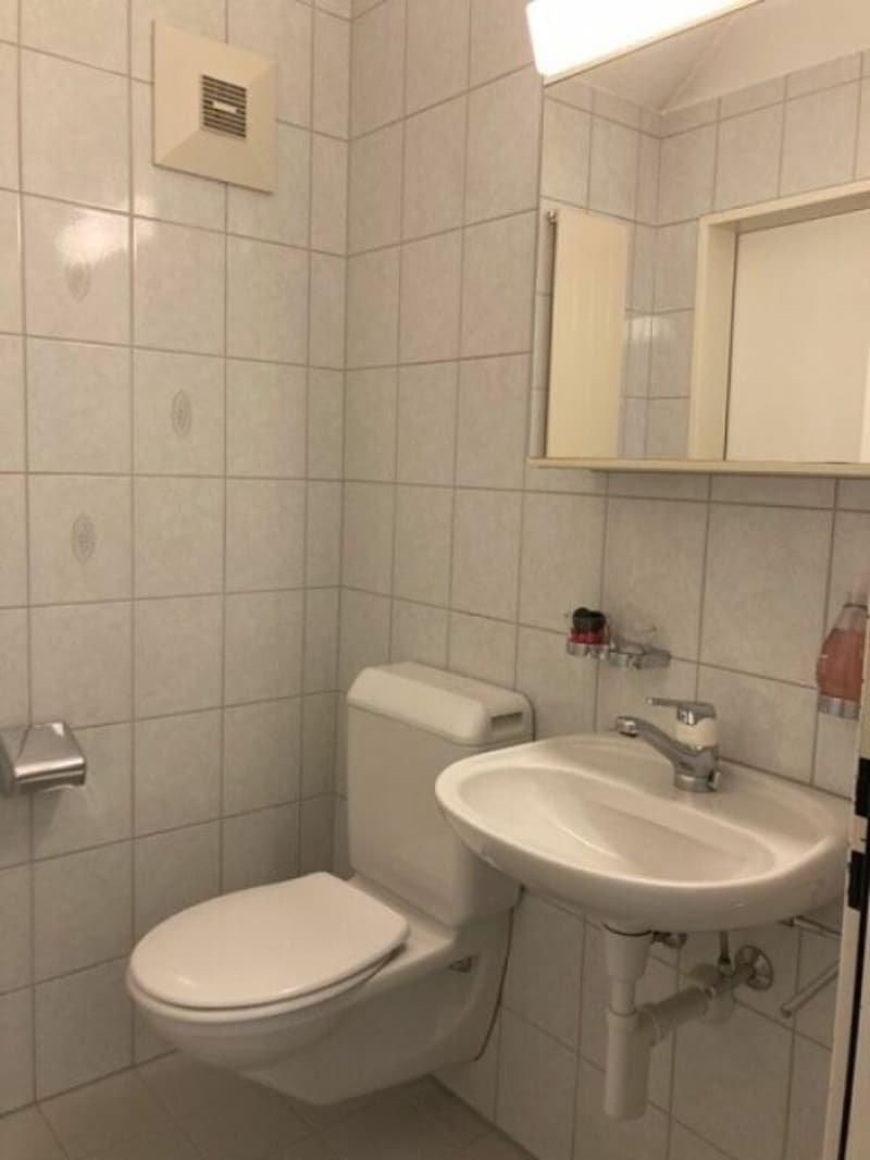 Sonnige 4.5 Zimmerwohnung im 1. OG (5)