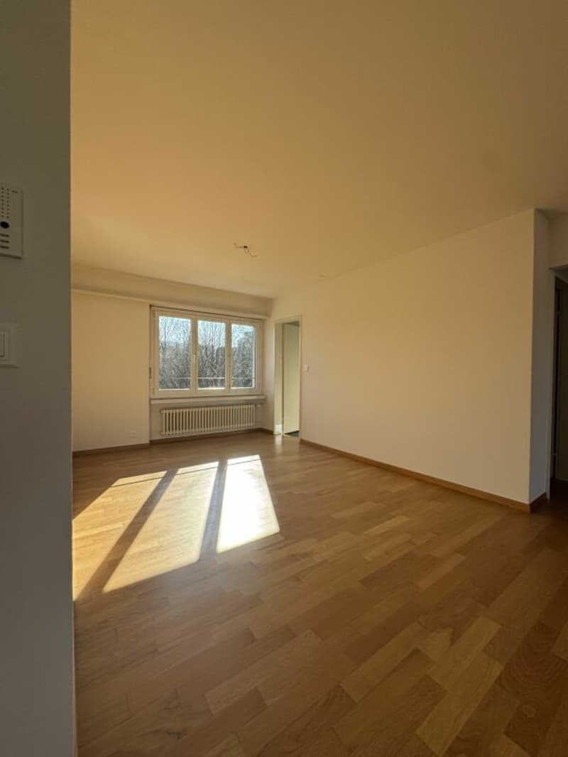 Charmante 2.5-Zimmerwohnung mit Flair (6)
