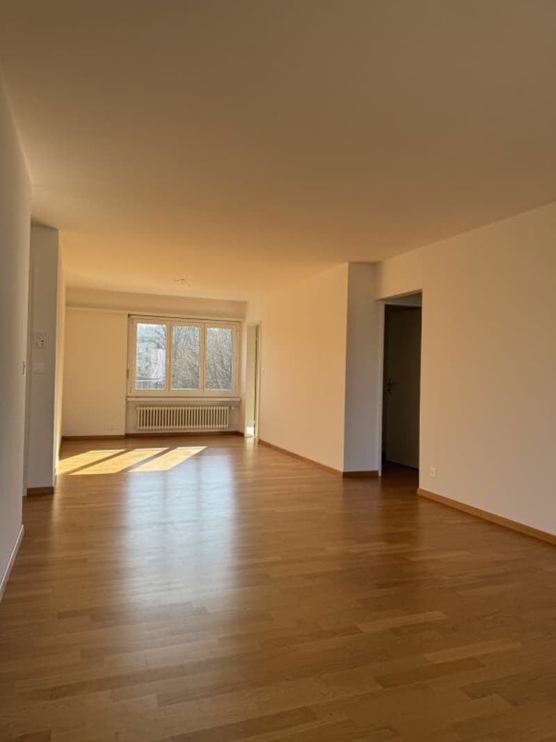 Charmante 2.5-Zimmerwohnung mit Flair (7)