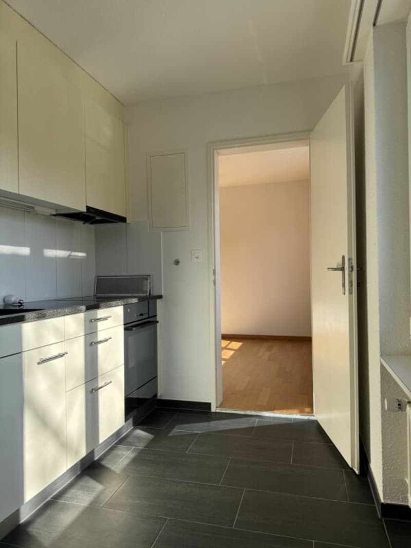 Charmante 2.5-Zimmerwohnung mit Flair (2)