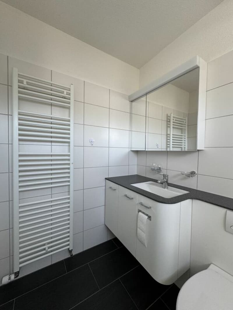 Charmante 2.5-Zimmerwohnung mit Flair (11)
