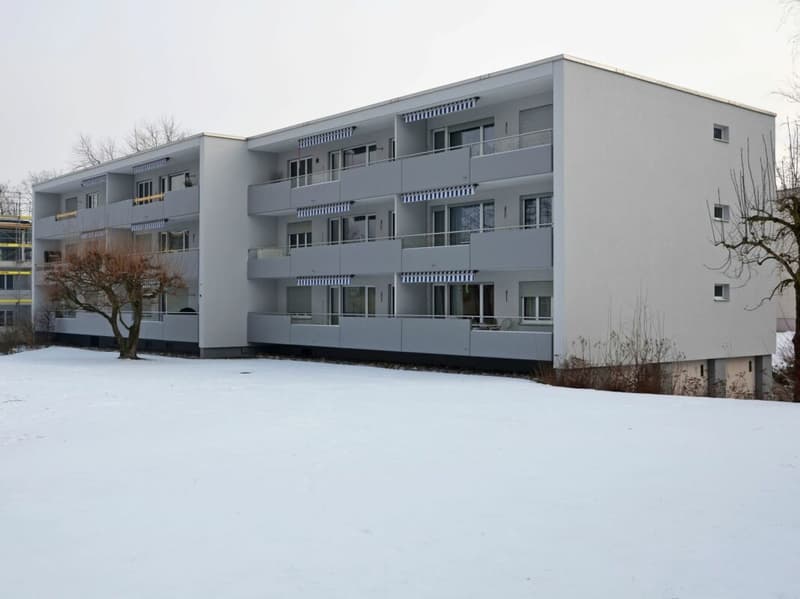 Charmante 2.5-Zimmerwohnung mit Flair (14)