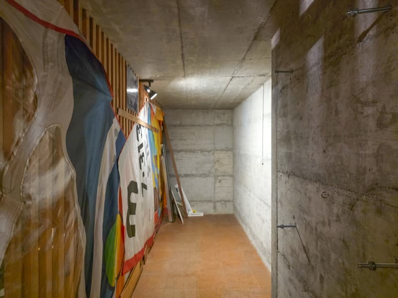Long corridor, concrete walls, flags on one side, wooden supports, ceiling lights