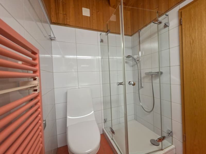 white tile walls, glass shower enclosure, silver fixtures, white toilet, wooden wall paneling