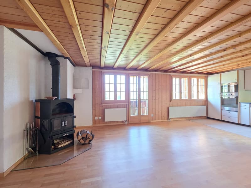 wooden ceiling, wooden floor, fireplace, French doors, radiators, storage