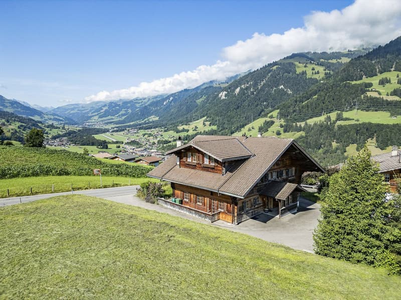 Mountain chalet, wooden exterior, pitched roof, front porch, driveway, green fields, mountain range, clear skies