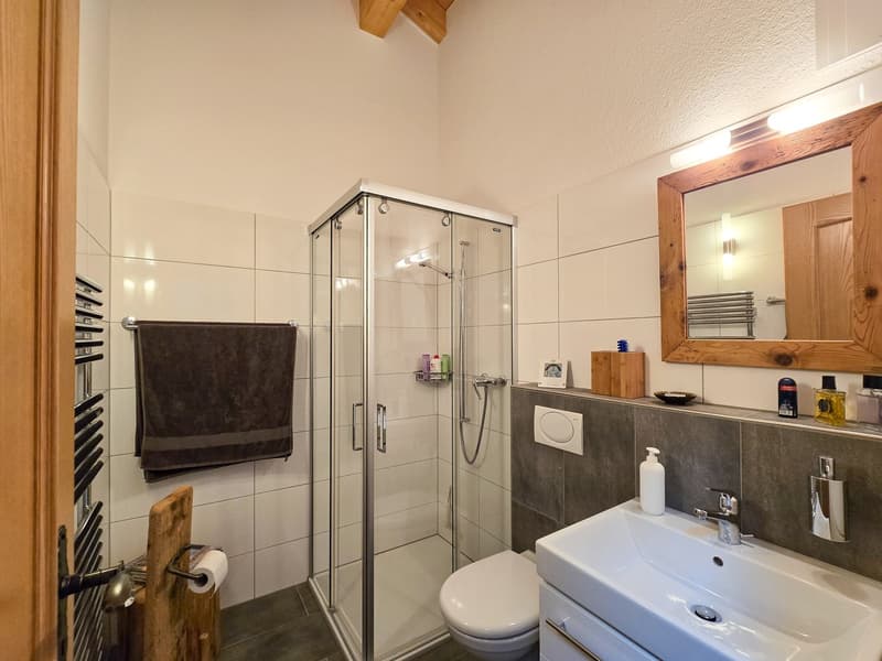 modern bathroom with shower, toilet, sink, mirror, wooden elements, towel rack, toiletries