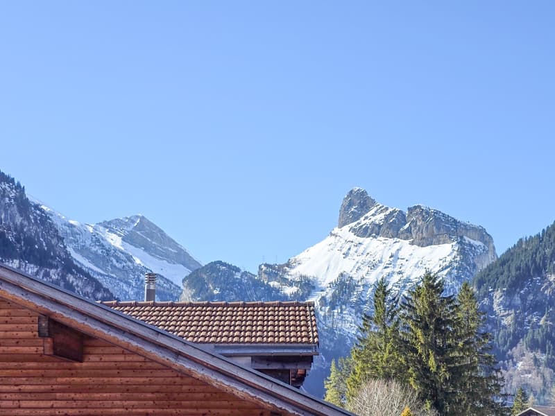 wooden exterior, tiled roof, mountains in the background
