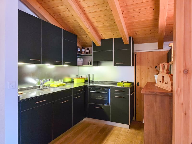 modern kitchen with black cabinets, wooden ceiling, stainless steel sink, oven, dishwasher, washing machine