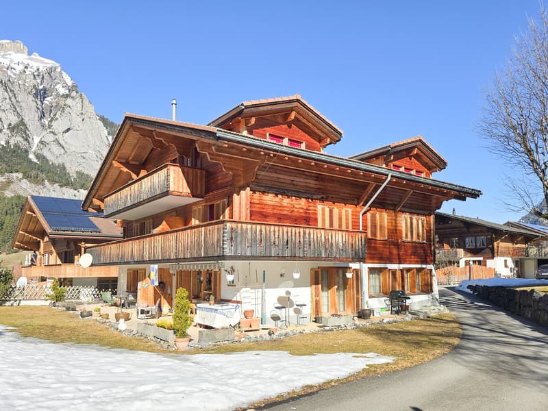 wooden chalet, balcony, solar panels, mountain view