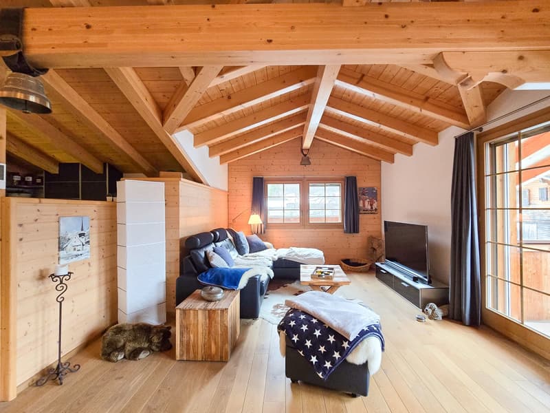wooden ceiling, wooden walls, wooden floor, couch, TV, wooden table, lamp, rug, dog
