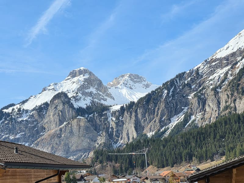 Mountain view, wooden house, snowy mountains, pine trees, village in the valley