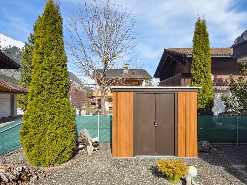 A wooden storage shed in a garden with gravel ground, surrounded by trees and a green fence, with houses and mountains in the background.