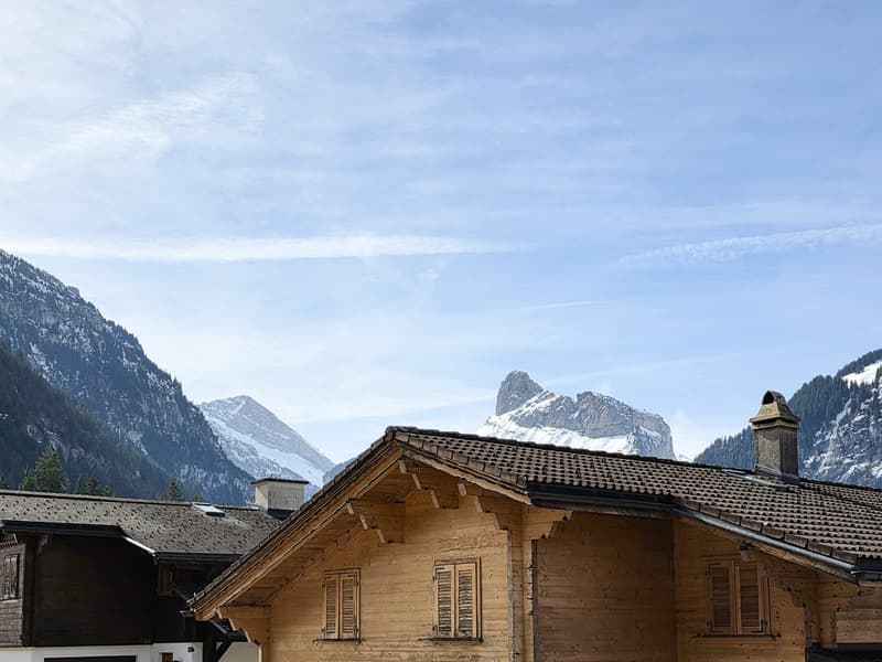 wooden chalet, tiled roof, chimney, wooden shutters, mountains in the background
