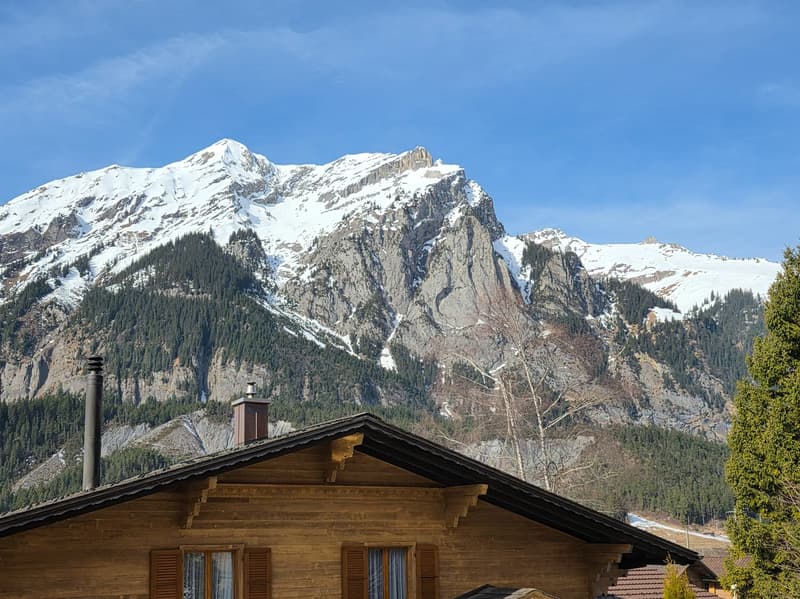 wooden house, two chimneys, snowy mountain in the background