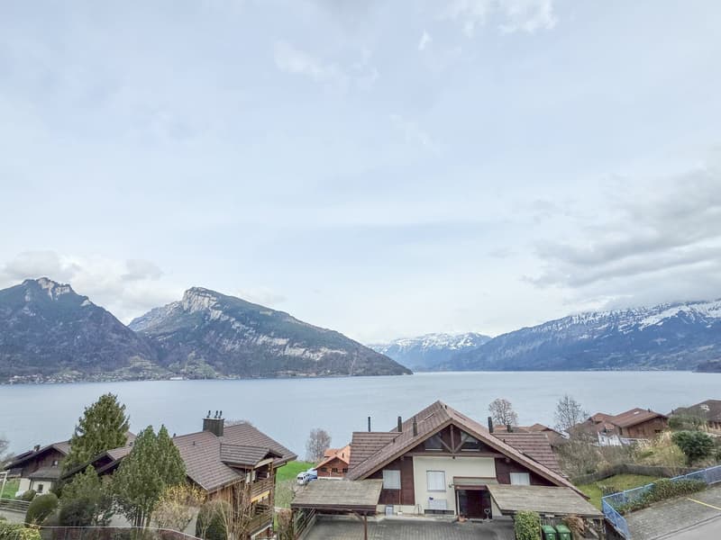 Houses with brown roofs, surrounded by trees, mountains, and a lake in the background