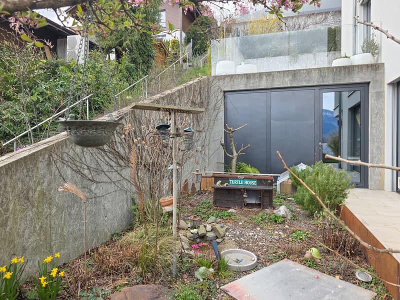 concrete wall, wooden turtle house, plants, flowers, rocks, small pond, hanging bird feeders