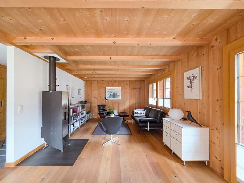 wooden walls, wooden floor, fireplace, black leather sofa, white dresser, armchair, rug, bookshelf, potted plant
