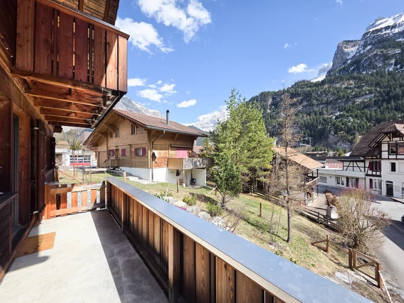 wooden balcony, wooden house, mountain view, trees, grass