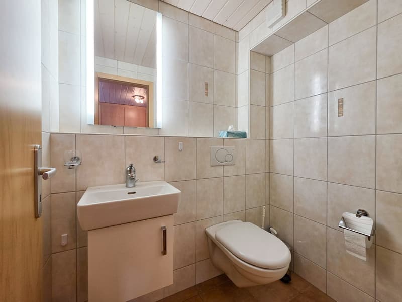 3.5 Zimmer Wohnung im EG (14)