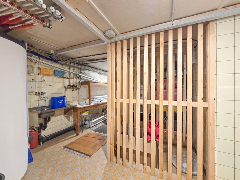 5.5 Zimmer Duplex Maisonette Wohnung (16)