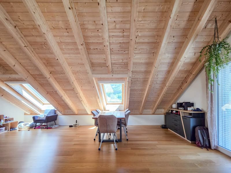 3-Zimmer Wohnung im Dachgeschoss (11)