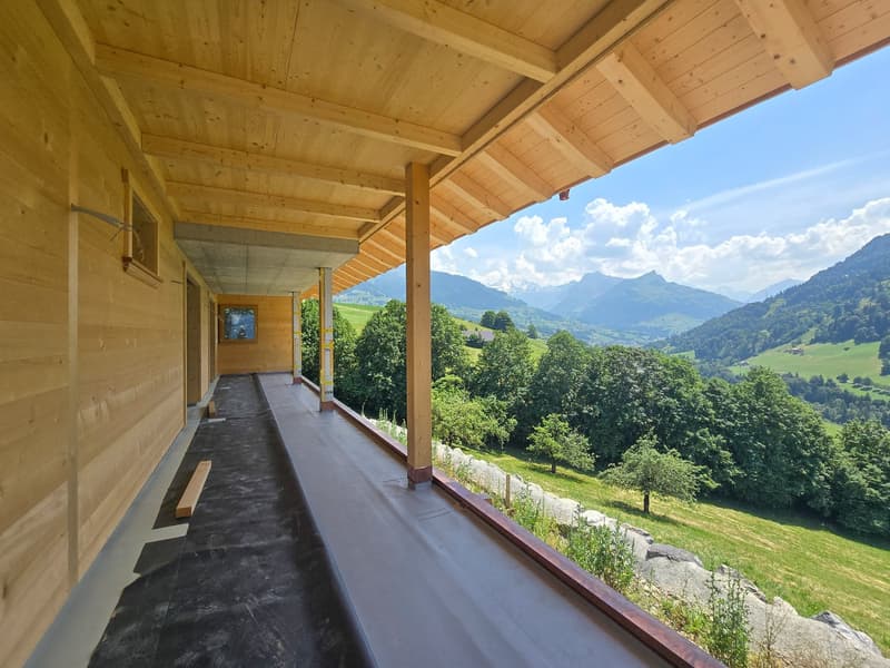 5.5 Zimmer Wohnung im Ober- und Dachgeschoss, Erstbezug (17)
