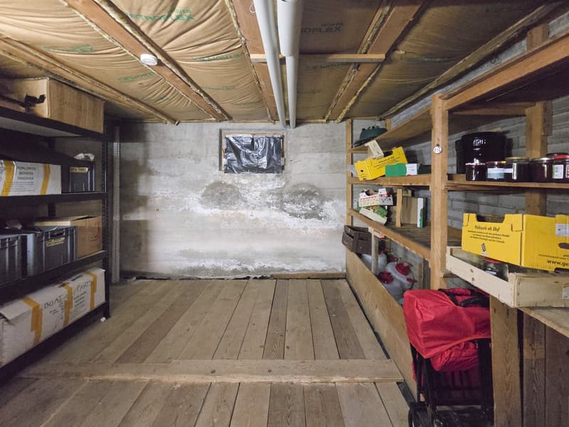 12 Zimmer Wohnhaus (43)