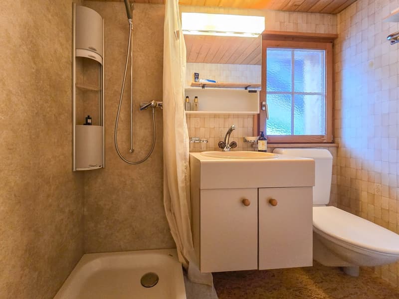 4.5-Zimmer-Dachwohnung (16)