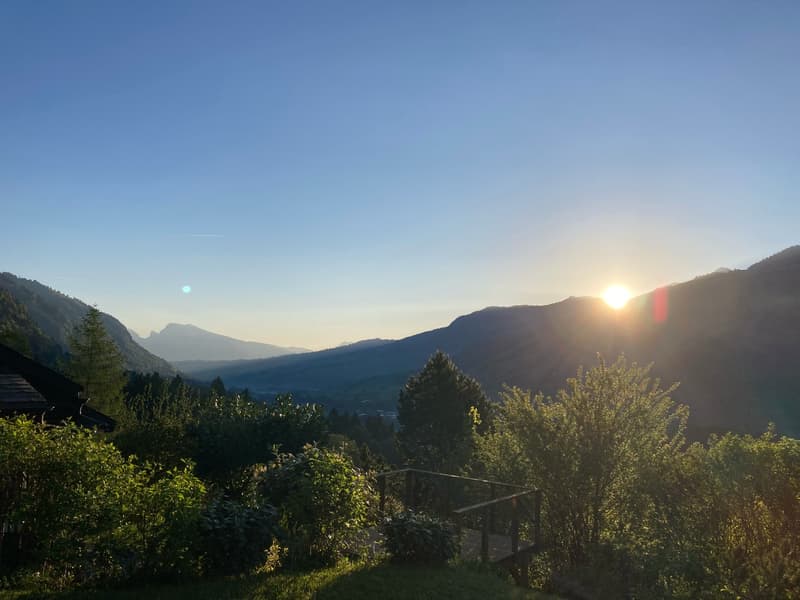 3.5 Zimmer Chalet - Ferienhaus (29)