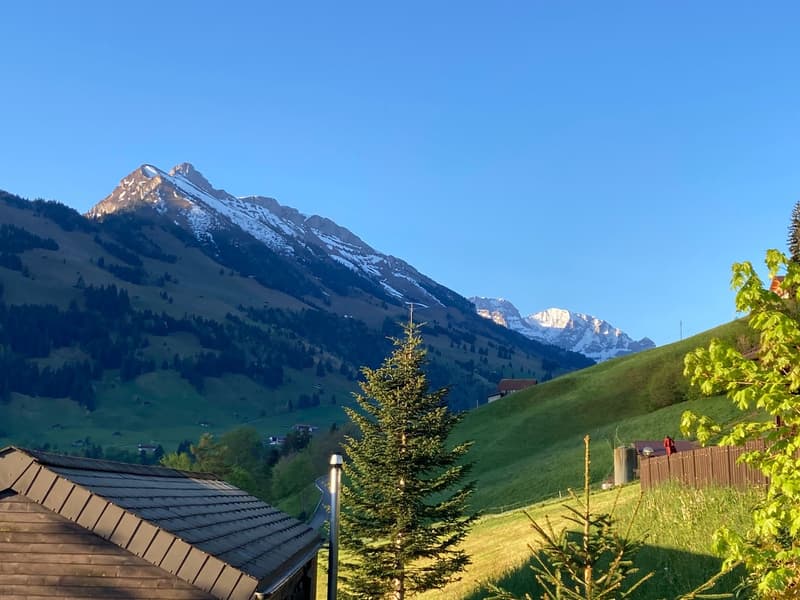 3.5 Zimmer Chalet - Ferienhaus (31)