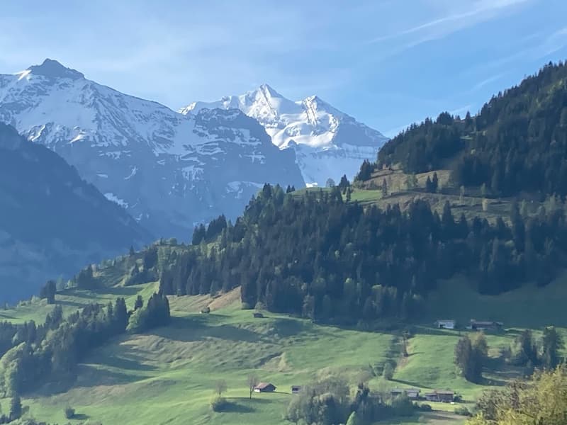 3.5 Zimmer Chalet - Ferienhaus (30)