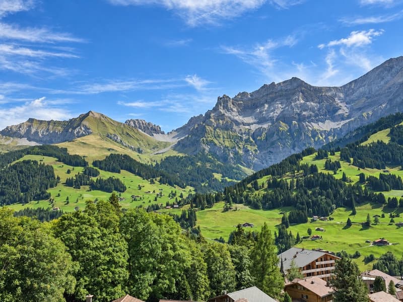 «Mitten in Adelboden. Mitten im Feriengefühl.» (16)