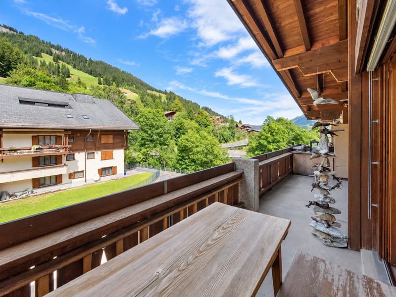 «Mitten in Adelboden. Mitten im Feriengefühl.» (21)