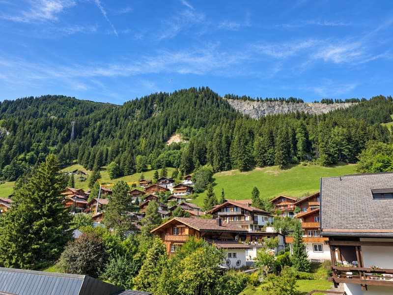 «Mitten in Adelboden. Mitten im Feriengefühl.» (22)