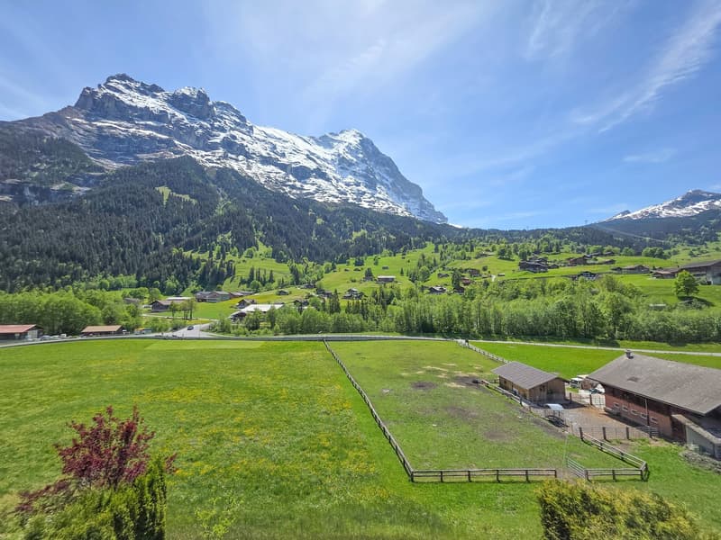 Mehrfamilienhaus mit drei Einheiten (20)