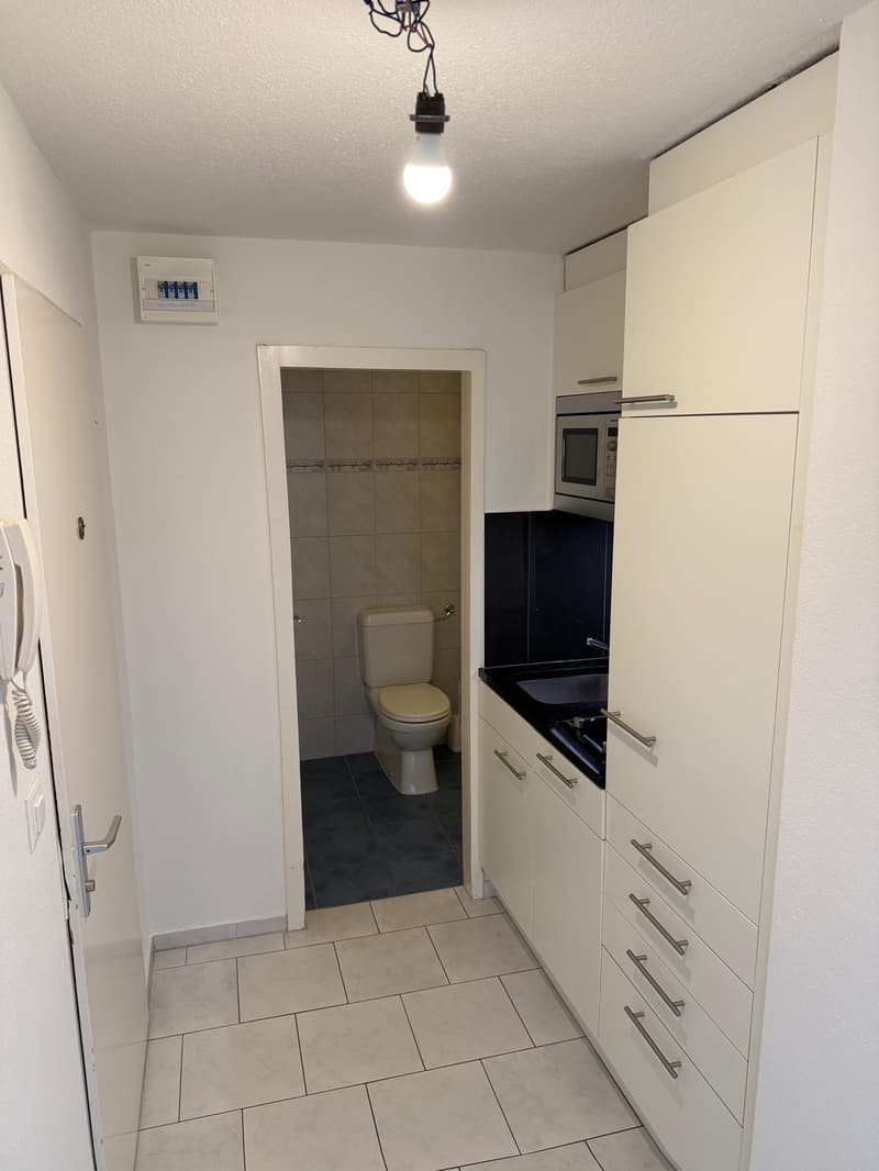 Studio in Spreitenbach zu vermieten! (8)