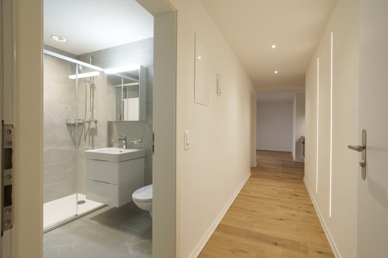 Moderne 2.5 Zimmerwohnung in Basel zu vermieten! (6)