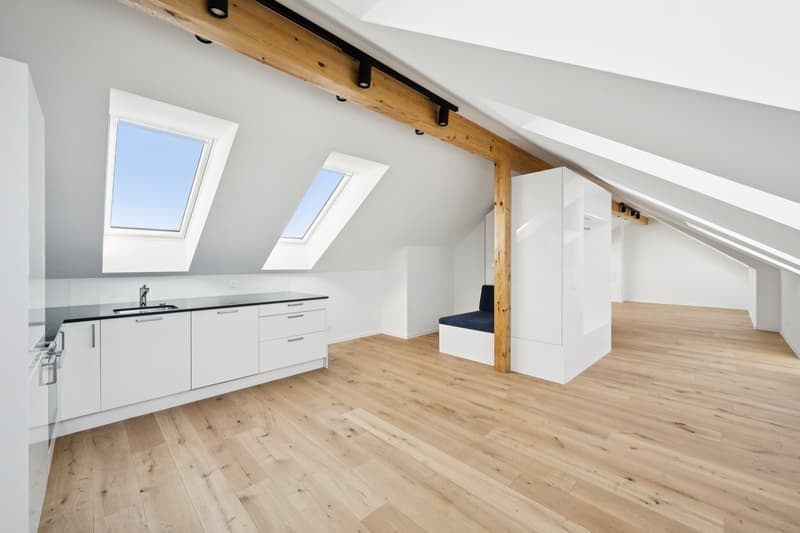 Erstbezug nach komplettem Dachausbau  exklusive Dachgeschosswohnung mit Cabriofenster in zentraler Lage (3)
