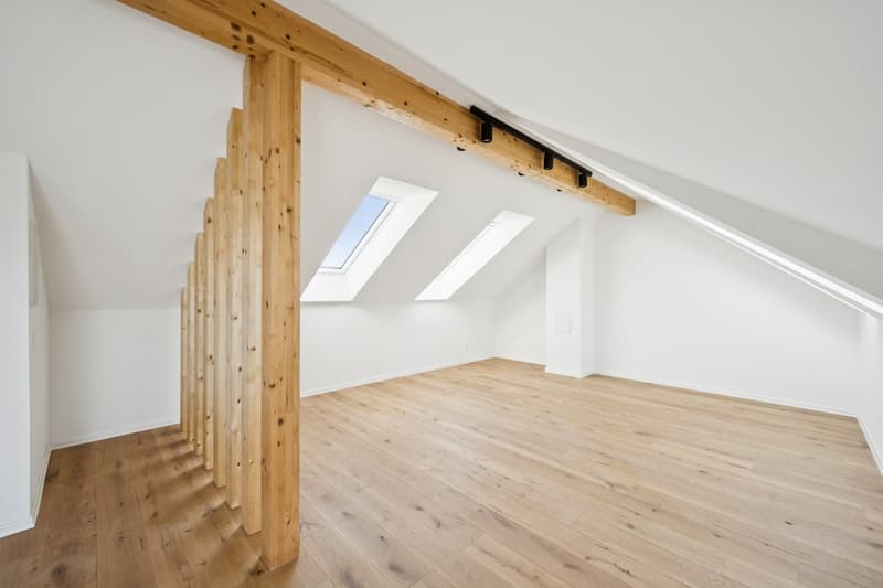 Erstbezug nach komplettem Dachausbau  exklusive Dachgeschosswohnung mit Cabriofenster in zentraler Lage (7)